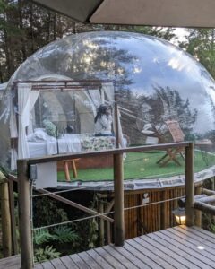 glamping tent in medellin